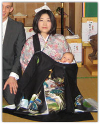 ���{�Q��p